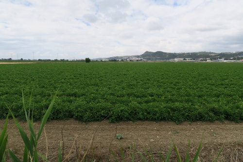 2015JunPortugal1